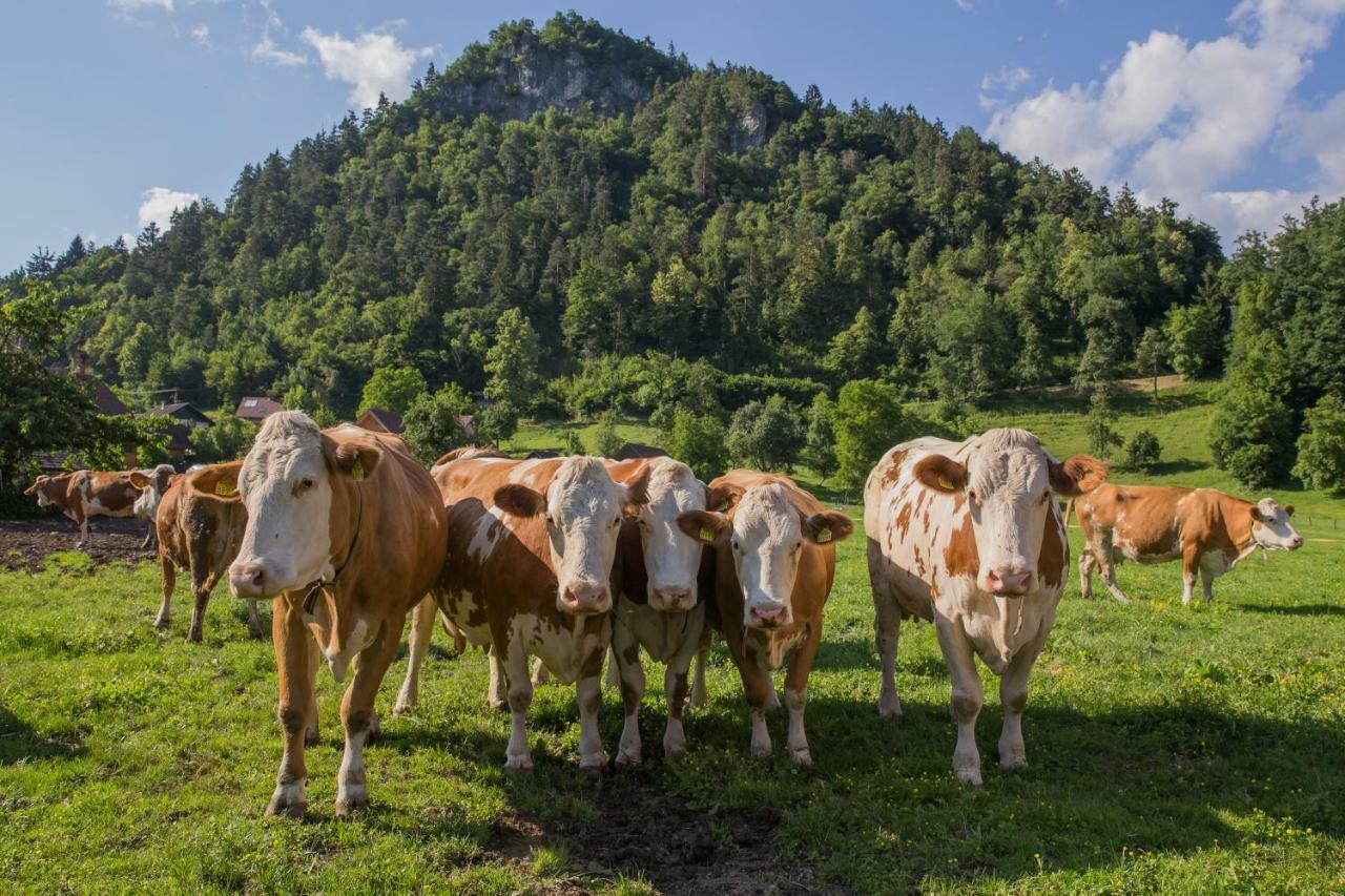 Farm Holidays Povsin Bled Exterior photo